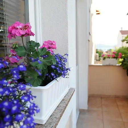Apartment Ana *