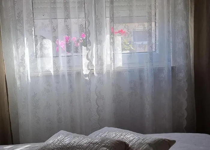 Ana زادار